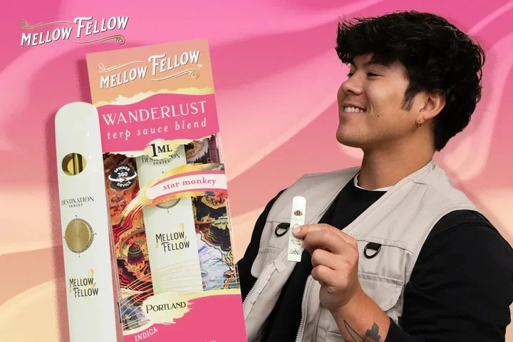 Mellow Fellow blends guide — Euphoria, Dream, Creativity and more